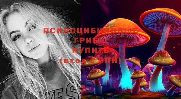 бошки Белоозёрский