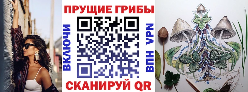 кракен tor  Улан-Удэ  Псилоцибиновые грибы Psilocybe 